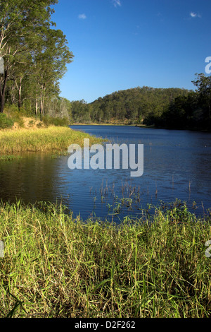 Brisbane Forrest Park Queensland Australia Foto Stock