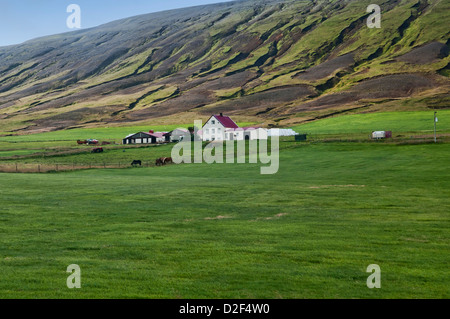 Scenario sulla Sprengisandur Highland Road nel nord dell'Islanda Foto Stock