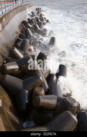 Tetrapods, quattro zampe di strutture in calcestruzzo, utilizzate un mare di difesa contro le onde a Ventnor, Isola di Wight in Inghilterra. Foto Stock