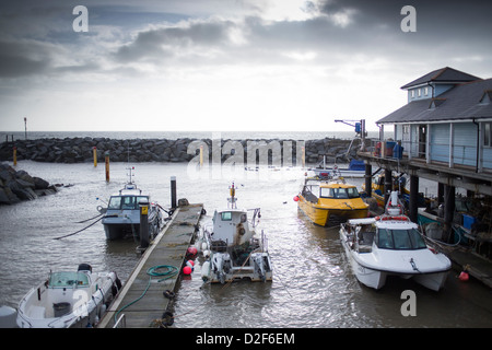 Barche da pesca ormeggiate fino a Ventnor, Isle of Wight, England, Regno Unito, dopo la cattura del pesce per la giornata. Foto Stock