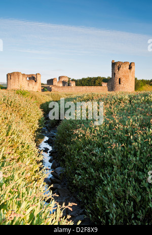 Il castello di Selce Selce, Flintshire, Galles del Nord, Regno Unito Foto Stock