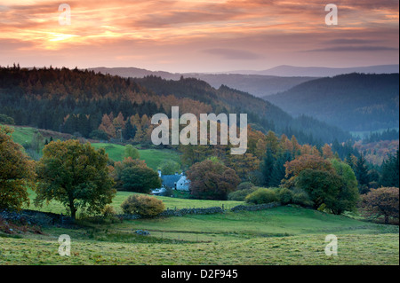 Alba sopra la foresta Gwydyr in autunno, vicino a Betws-y-coed, Snowdonia National Park, North Wales, Regno Unito Foto Stock