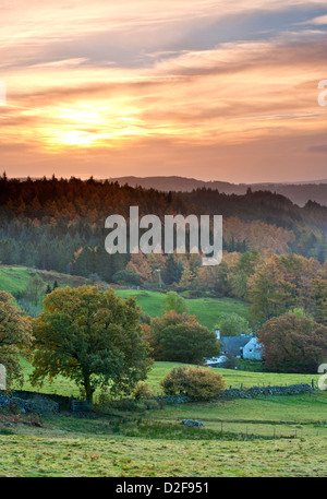 Alba sopra la foresta Gwydyr in autunno, vicino a Betws-y-coed, Snowdonia National Park, North Wales, Regno Unito Foto Stock