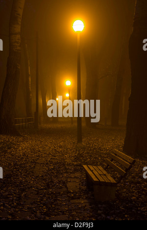 Parco di notte - panca in un parco in una nebbiosa mattina presto Foto Stock