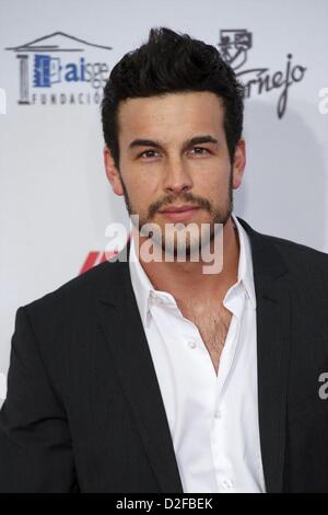 22 gennaio 2013 - Madrid, Spagna - Mario Casas assiste " Jose Maria Forque' Cinema Cerimonia di Premiazione presso Teatros del Canal il 22 gennaio, 2013 a Madrid (credito Immagine: © Jack Abuin/ZUMAPRESS.com) Foto Stock
