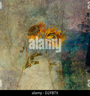 Girasoli botanico floreali Art. Due campi di girasoli nei semplici e in movimento. Foto basato mixed media artwork. Foto Stock