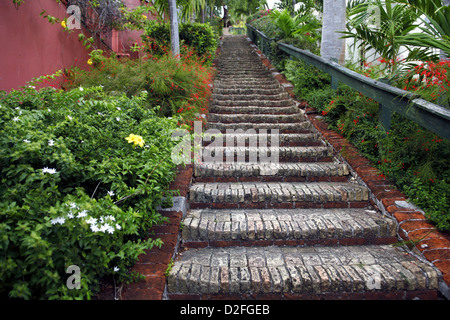 99 Passi, Charlotte Amalie, san Tommaso, Isole Vergini USA, Caraibi Foto Stock