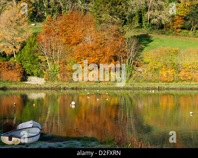 Dal fiume al Lerryn in Cornovaglia, su un gelido autunno mattina. Foto Stock