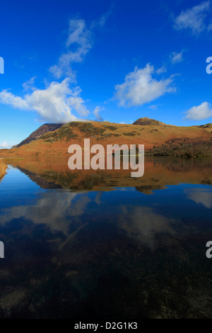 I colori autunnali, Whiteless Pike cadde, riflessa in acqua Crummock, Parco Nazionale del Distretto dei Laghi, Cumbria County, England, Regno Unito Foto Stock