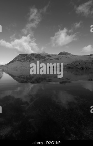 I colori autunnali, Whiteless Pike cadde, riflessa in acqua Crummock, Parco Nazionale del Distretto dei Laghi, Cumbria County, England, Regno Unito Foto Stock