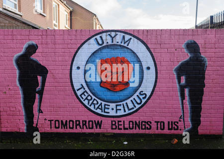 Carta murale a Belfast per la commemorazione del Ulster giovani militanti (UYM), l'ala della gioventù di Ulster Defence Association (UDA) Foto Stock