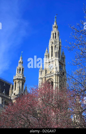 Neo municipio gotico con le sue case di guglie di Vienna del consiglio di città Foto Stock