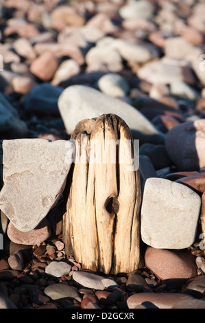 Erosi groyne in legno o frangiflutti sulla spiaggia di Porlock Weir, Somerset, Inghilterra, Regno Unito Foto Stock