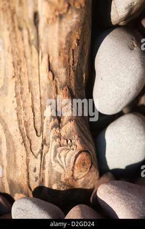 Erosi groyne in legno o frangiflutti sulla spiaggia di Porlock Weir, Somerset, Inghilterra, Regno Unito Foto Stock