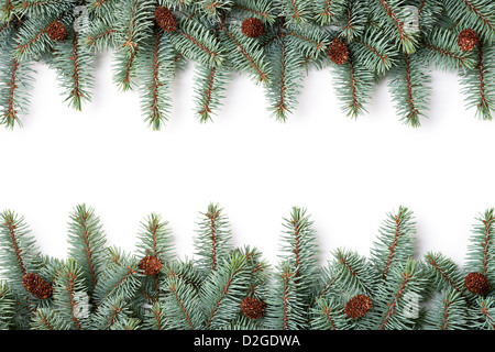 Rami di silver spruce con coni di plastica su sfondo bianco. Spazio di copia Foto Stock