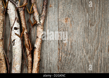 Betulla tronchi e rami su legno naturale con uno sfondo con spazio di copia Foto Stock