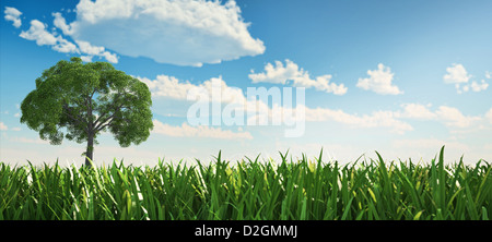 Albero solitario in un campo di erba, in piedi sul lato sinistro della scena, visto dal basso punto di vista ow con erba molto vicino Foto Stock