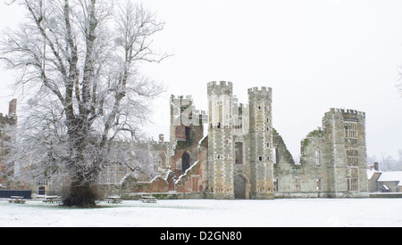 Cowdray rovina, Midhurst, West Sussex, Regno Unito. nella neve. Gennaio. !6 secolo Tudor House distrutto da un incendio nel 1793 Foto Stock