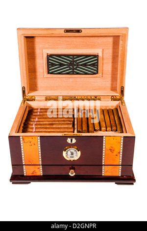 Alcuni laici i sigari in humidor Foto Stock