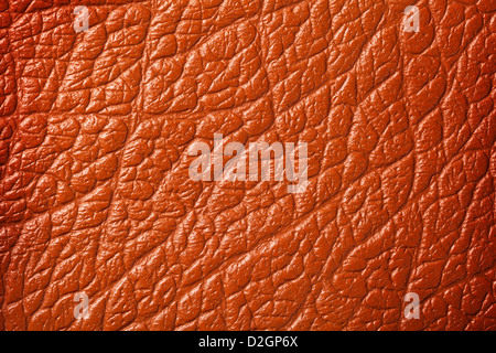 In cuoio marrone per texture di sfondo, superficie dettagliata di ripresa macro Foto Stock