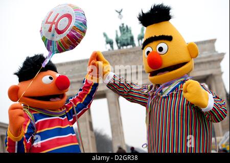 Due persone vestite come Sesame Street Ernie (L) e Bert stand davanti la porta di Brandeburgo a Berlino, Germania, 24 gennaio 2013. 40 anni fa, Ernie e Bert premiered sulla televisione tedesca. Foto: Sven Hoppe/Alamy live news. Foto Stock