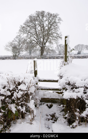 Sentiero segnaletica e stile sulla coperta di neve farmland in Herefordshire England Regno Unito Foto Stock