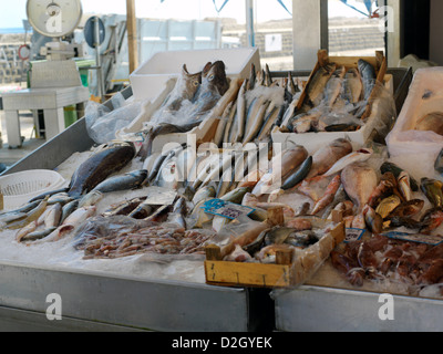 Sicilia Italia Mercato del Pesce a Porticello Display di pesce Foto Stock