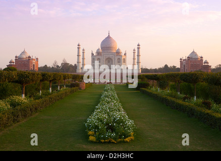 India, Uttar Pradesh, Agra il Taj Mahal in tarda serata luce Foto Stock