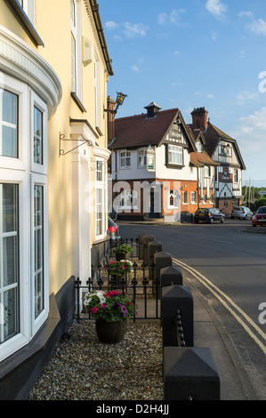 Upper Street in Horning Norfolk Broads UK con The Swan Inn Foto Stock