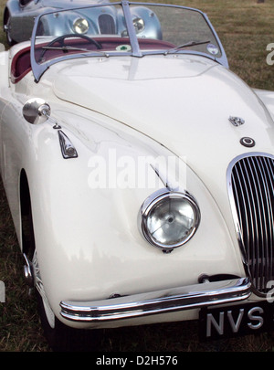 Il famoso Jaguar XK120 Roadster Sportscar è stato fabbricato tra il 1948 al 1954 con 7631 vetture prodotte. Foto Stock