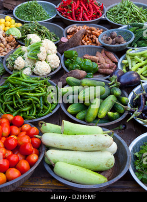 India Rajasthan, Jodhpur verdure perfettamente steso sulla pressione di stallo Foto Stock