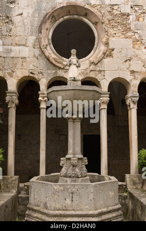 Elk192-3473v Croazia, Dubrovnik, monastero Francescano, xiv c, fontana Foto Stock