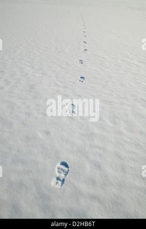 Berlino, Germania, Orme nella neve sul lago ghiacciato di Rummelsburg Foto Stock