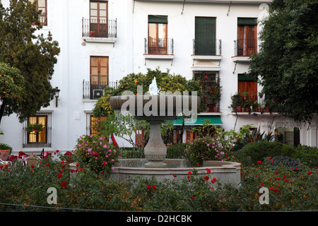 Piccola fontana nella città di Estepona Costa del Sol, Andalusia, Spagna Foto Stock