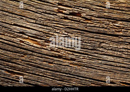 La texture del vecchio sfondo di legno Foto Stock