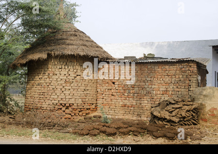 Acqua indiano di castagne, sul modo per Bharatpur, India Foto Stock