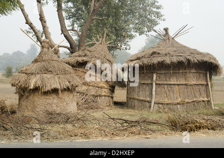 Acqua indiano di castagne, sul modo per Bharatpur, India Foto Stock