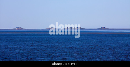 Case sul terps sulle isole di halligen Langeneß / Hallig Langeness, il Wadden Sea National Park, Northfrisia, Germania Foto Stock