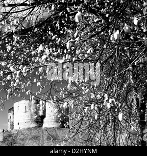 Cliffords Tower", è il sito di un assedio medievale e il massacro, York, Inghilterra Foto Stock