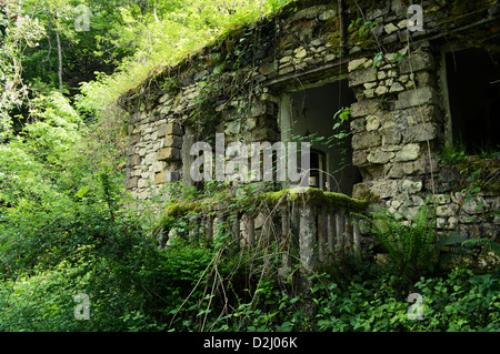 Casa abbandonata nel bosco Foto Stock