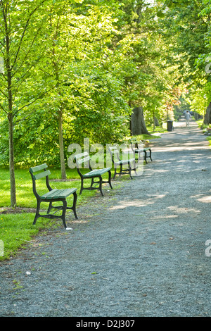 Un sentiero attraverso un piacevole parco della città di Halifax, Nova Scotia. Foto Stock