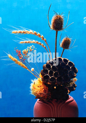 Bellissima still-life illustrazione dei semi secchi, cereali e fiori in un vaso e con toni caldi contro sfondo blu Foto Stock