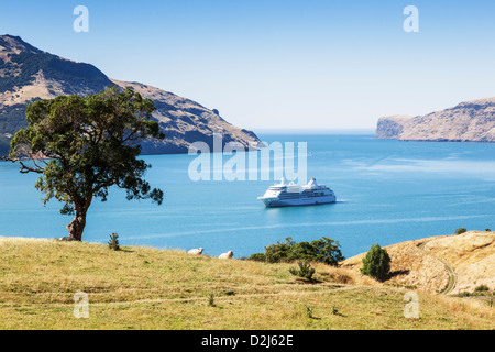 La nave di crociera ancorato nel porto di Akaroa nell'Isola del Sud della Nuova Zelanda Foto Stock