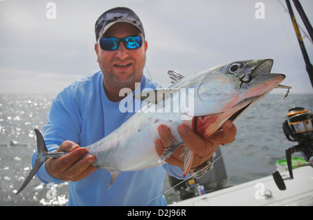 Uomo con false albacora; montauk new york stati uniti d'America Foto Stock