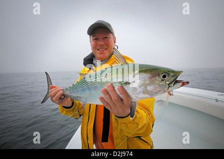 Uomo con freschi pescati false albacora; Martha's Vineyard massachusetts stati uniti d'America Foto Stock