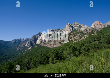 Corsica: Aiguilles de Bavella Foto Stock