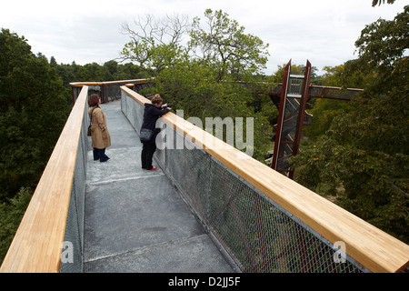 Il rhizotron e xstrata treetop marciapiede, Kew Gardens, London, Regno Unito Foto Stock