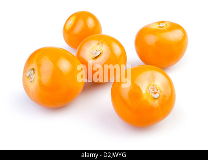 Gruppo physalis su sfondo bianco Foto Stock