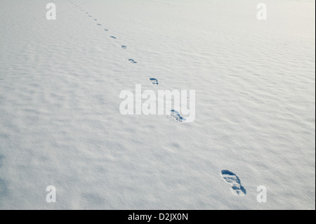 Berlino, Germania, Orme nella neve sul lago ghiacciato di Rummelsburg Foto Stock