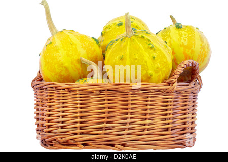 Zucche decorative nel cesto di vimini, isolata su uno sfondo bianco. Isolato con percorso di clipping. DFF immagine. Foto Stock